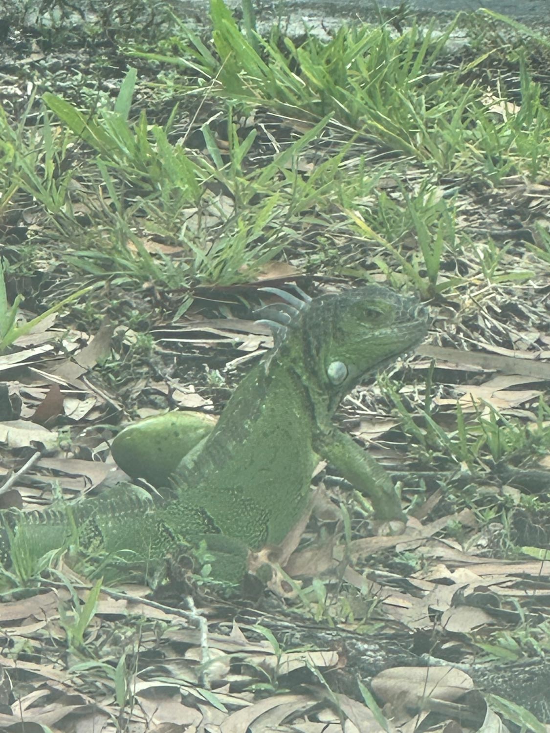 Miami, United States